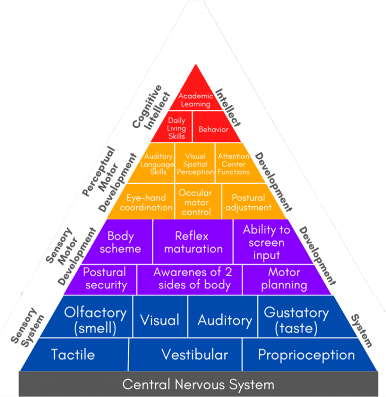 Pyramid of Learning – Important Key to Academic Learning | Mind Story